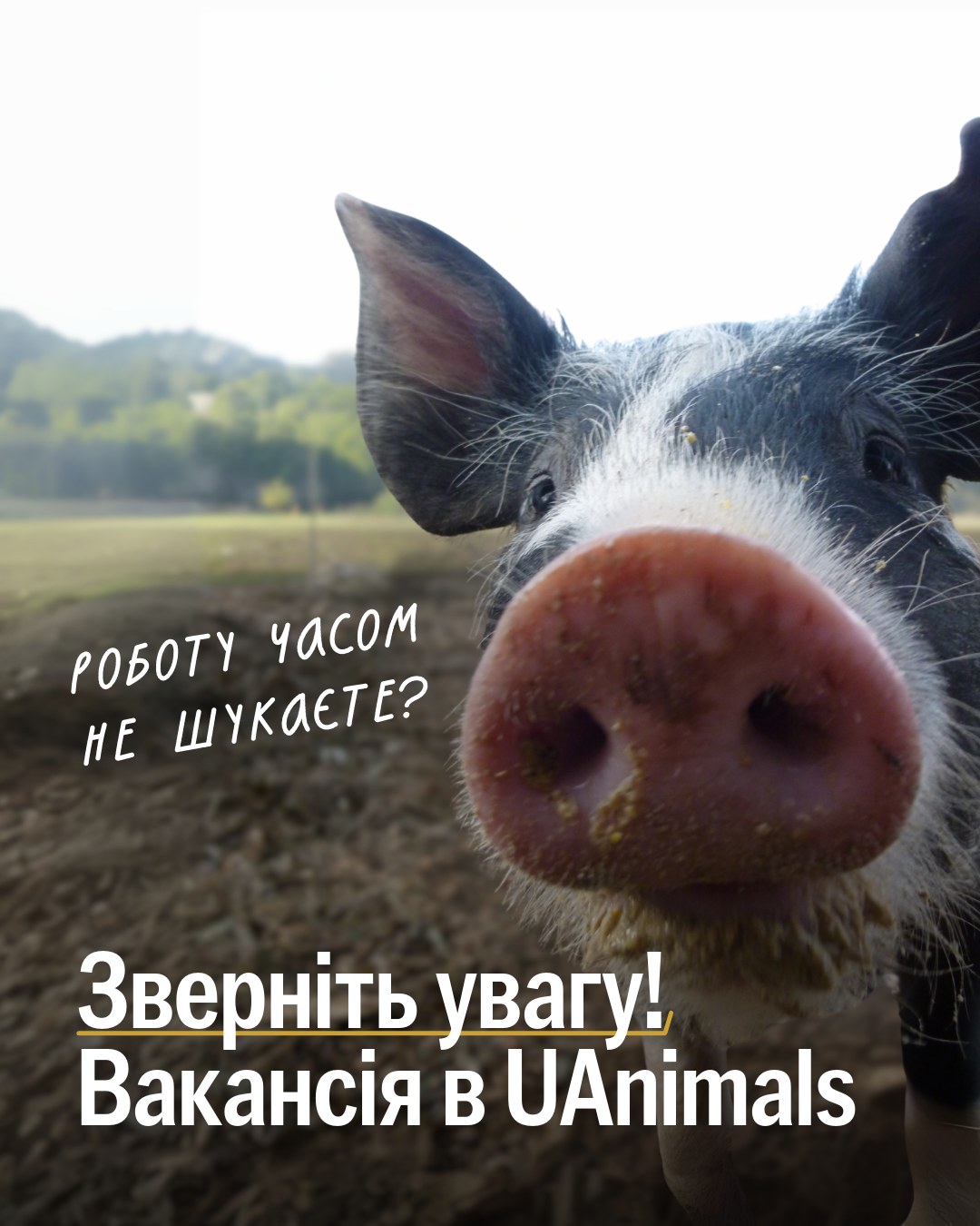 Друзі, ми шукаємо керівника або керівницю складу! 🤗