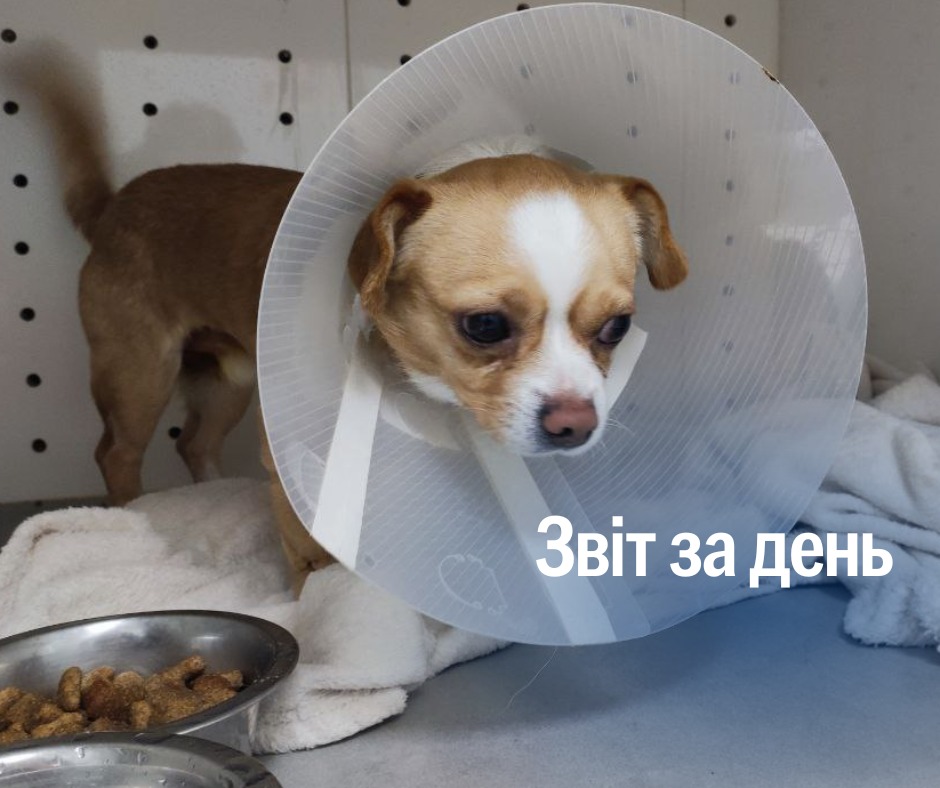 📌 1 104 день повномасштабного вторгнення