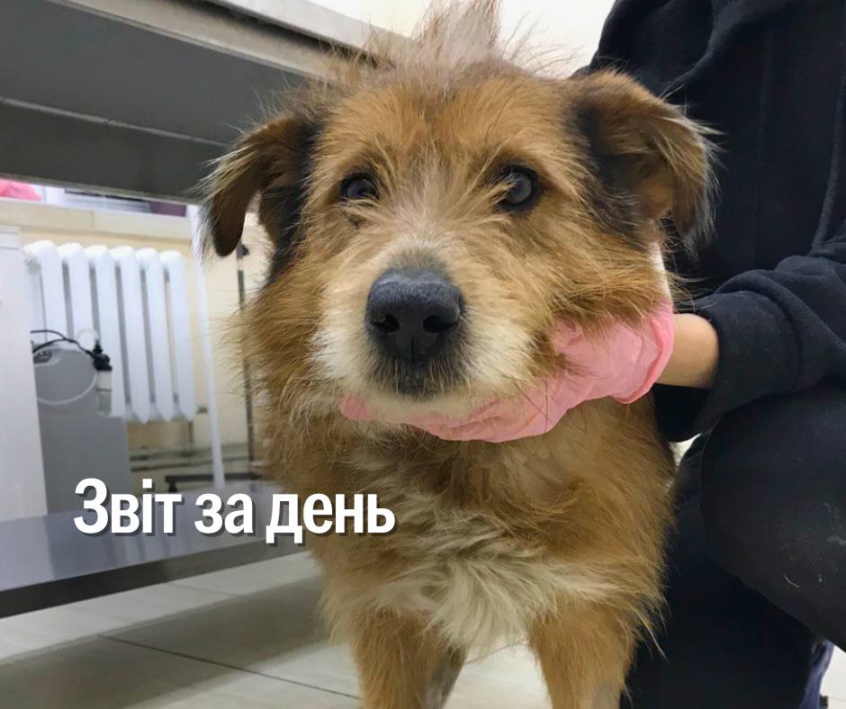 📌1 100 день повномасштабного вторгнення