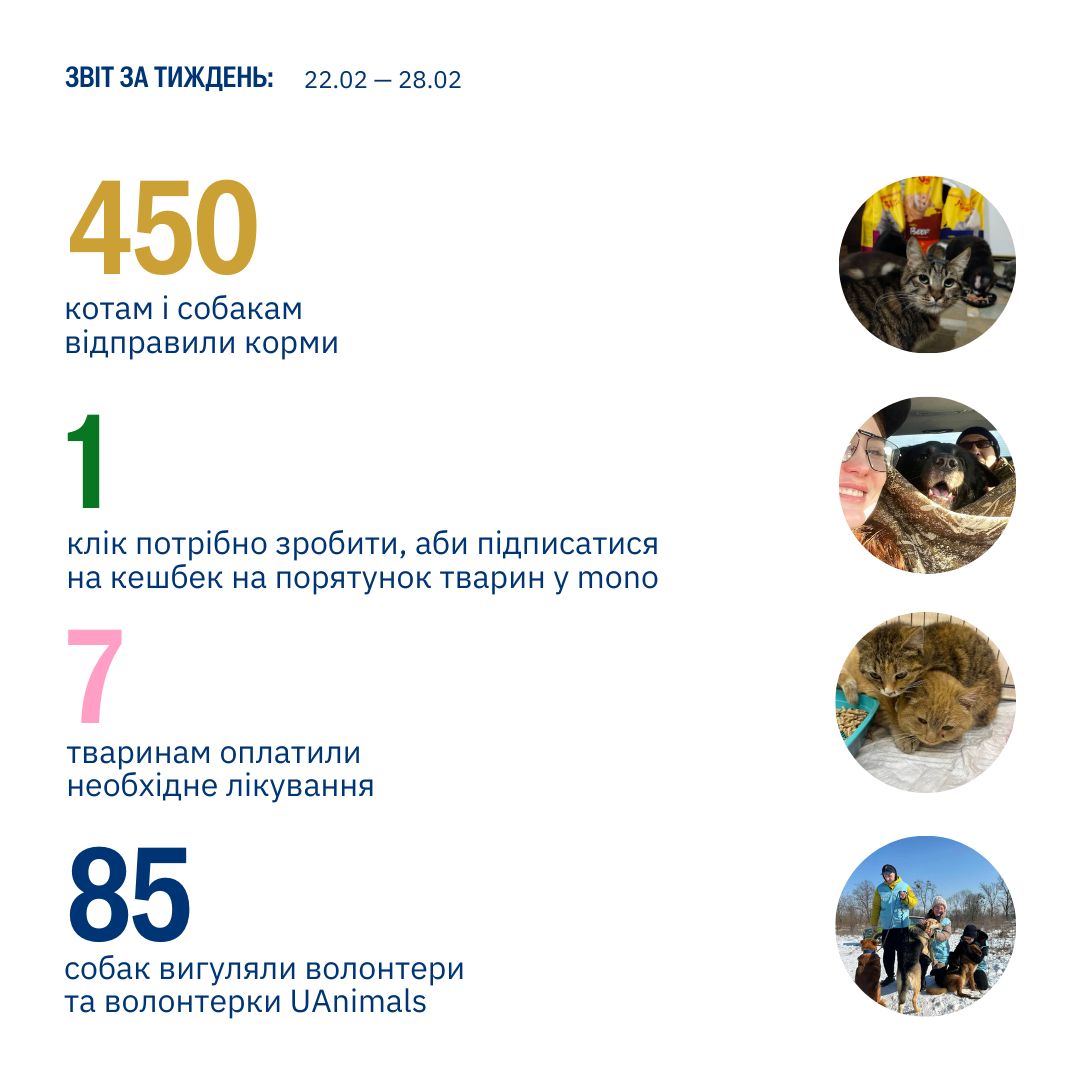 Цього тижня ми зайшли на четверте коло порятунку тварин від війни