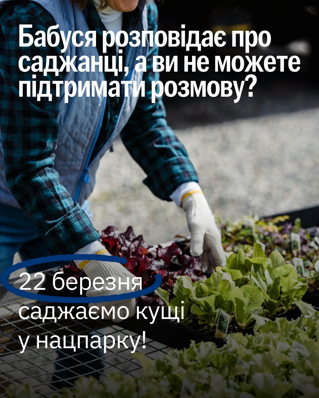 Приєднуйтесь до висадки саджанців у нацпаку на Одещині, щоб ваші вихідні стали дійсно крутими і корисними 🤗