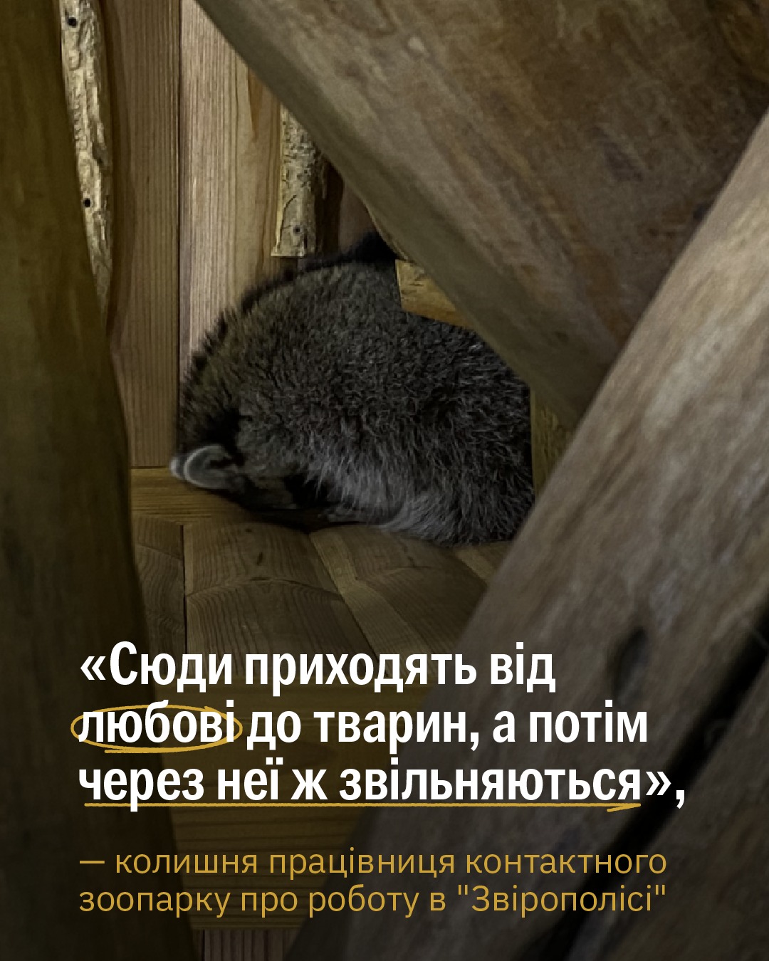Назвіть три слова, з якими у вас асоціюються контактні зоопарки 👇
