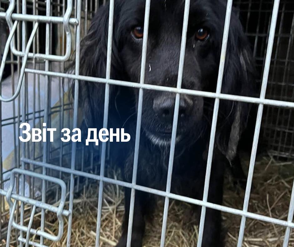 📌 1 102 день повномасштабного вторгнення, перший день весни і ще один день боротьби та допомоги