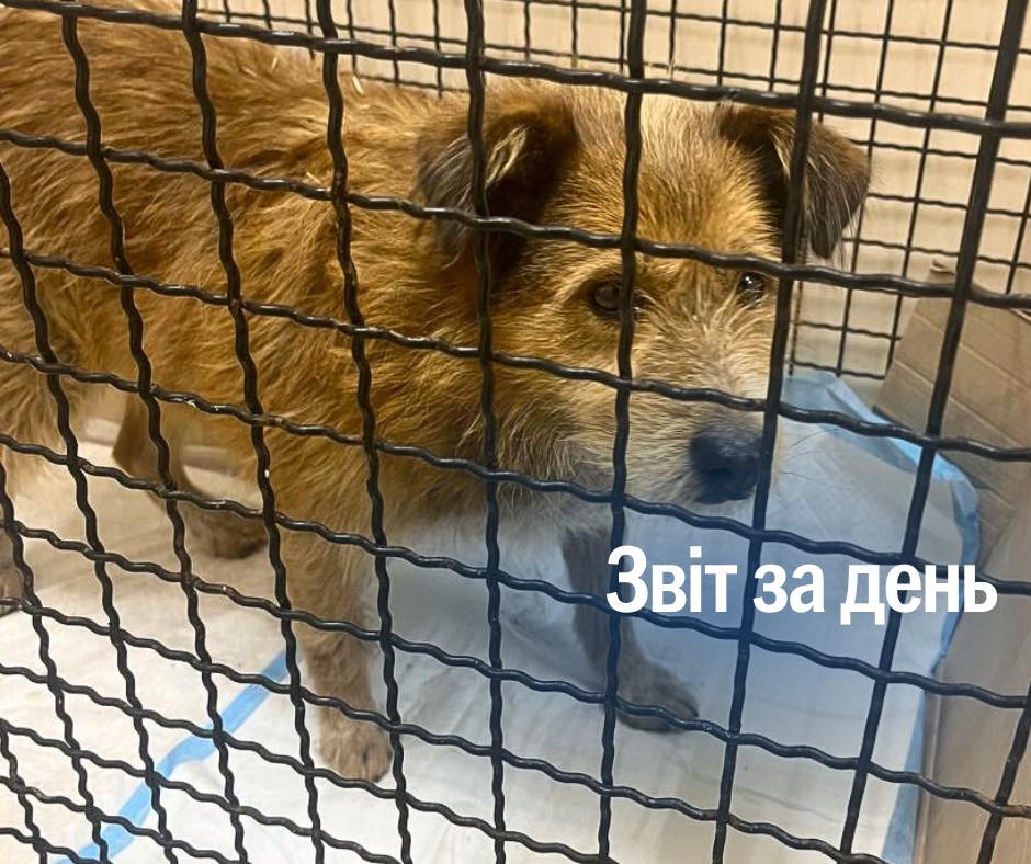 📌 1 103 день повномасштабного вторгнення