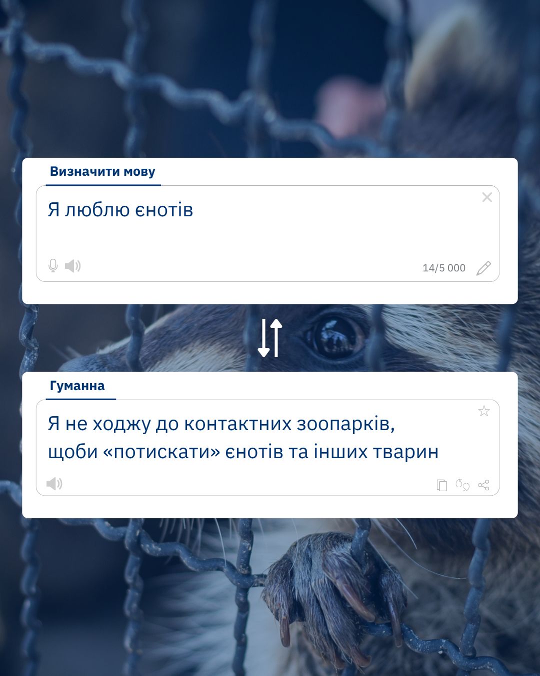 У контактному зоопарку “Звірополіс” єнот кричав від болю 😡