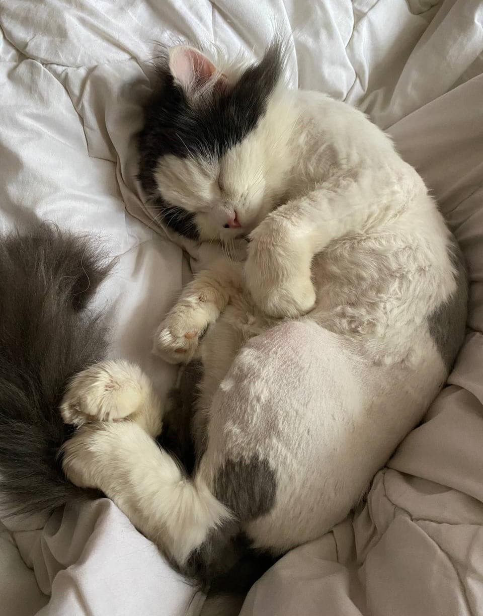 Обережно! Надзвичайно милий контент 🥰