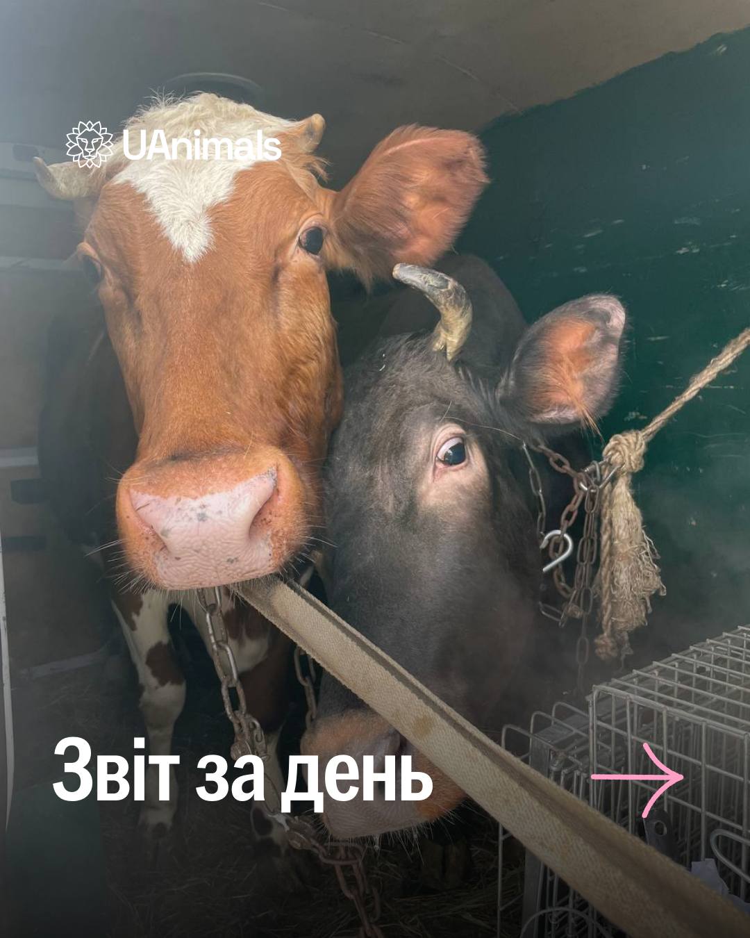 📌 1 105 день повномасштабного вторгнення