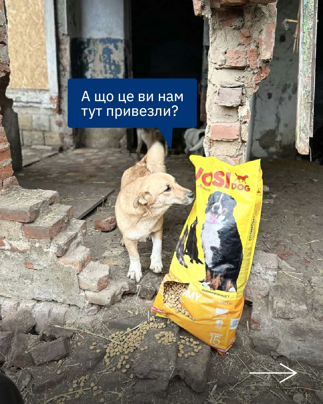 Бачите, Гуманітарна Нова пошта, про вас мріє кожний собака 😋