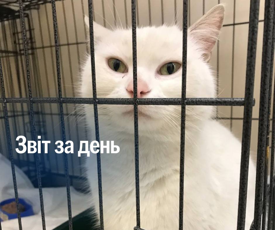 📌 1 104 день повномасштабного вторгнення