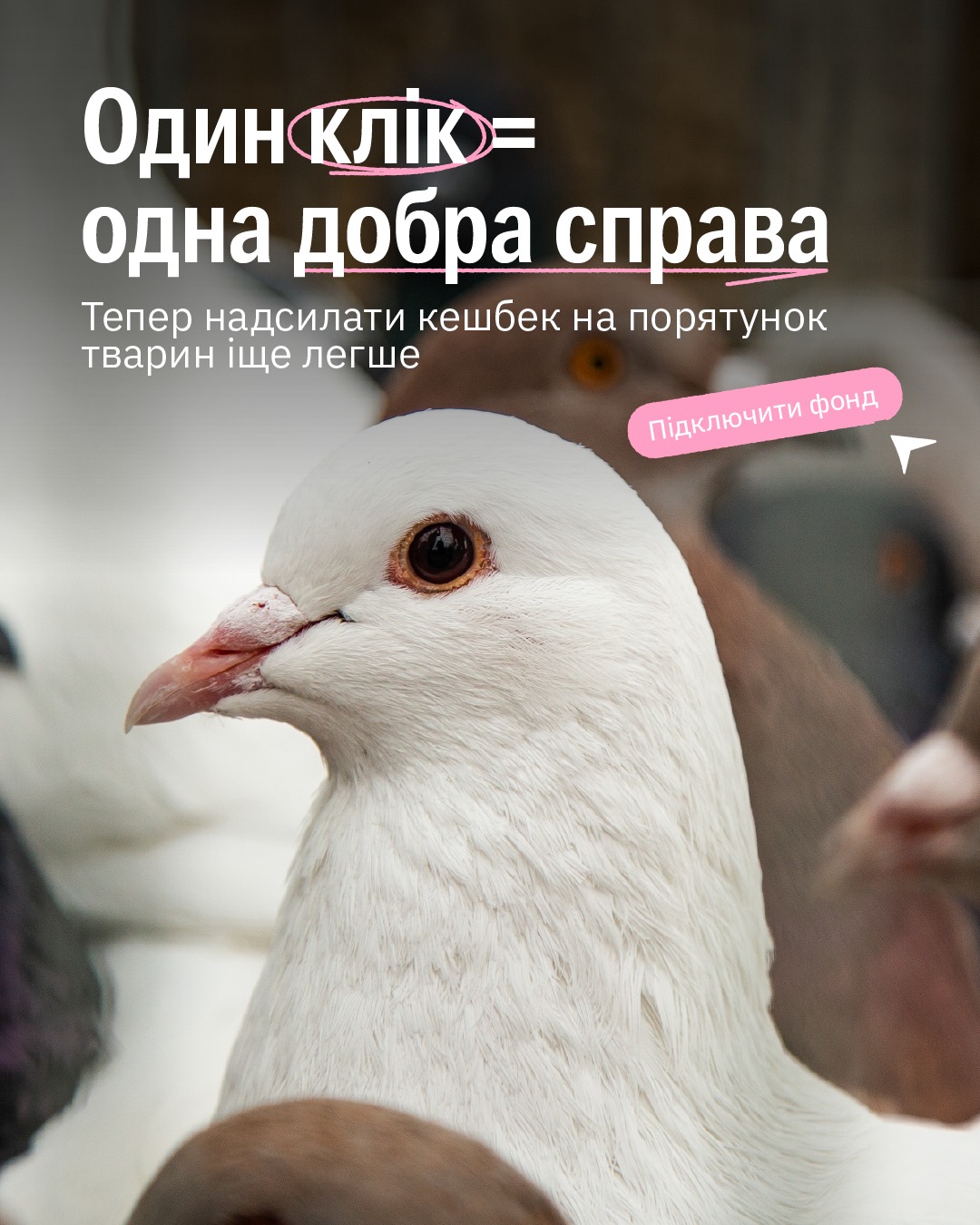 От якби допомагати тваринам було простіше! 🥹