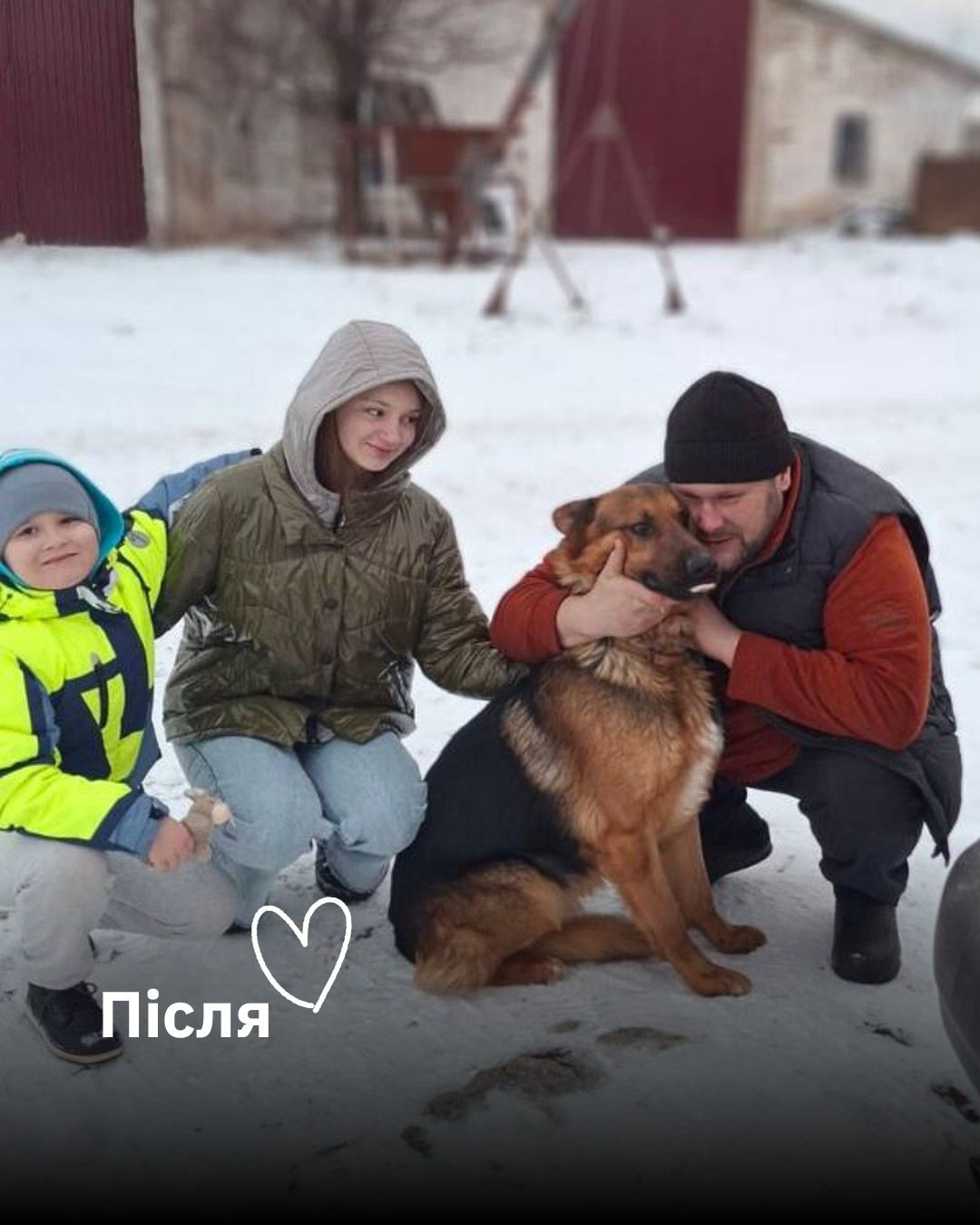 У Сергіївці цей пес сам застрибнув у наш евакуаційний бус 💔