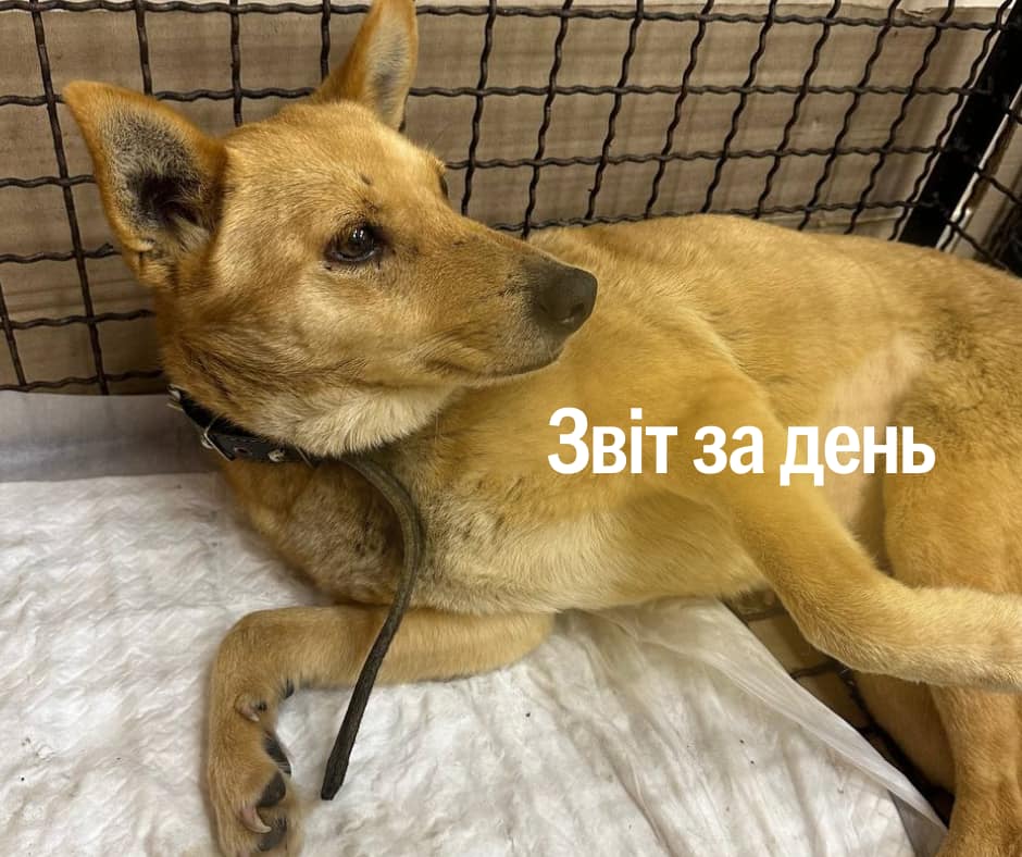 📌 1 109 день повномасштабного вторгнення