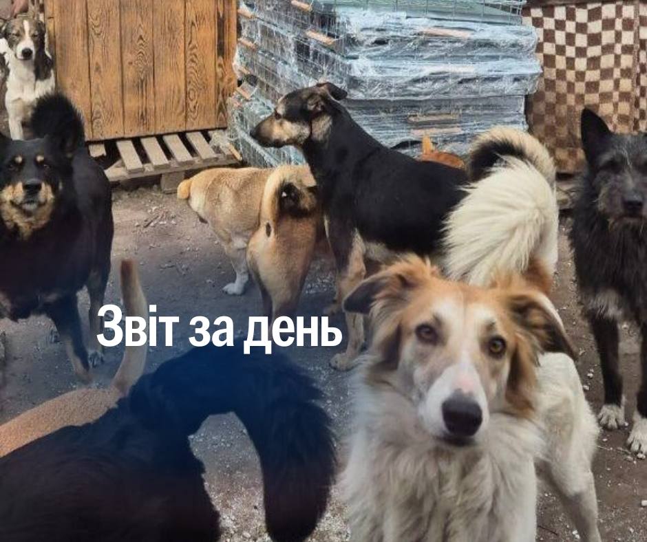 📌 1 111 день повномасштабного вторгнення