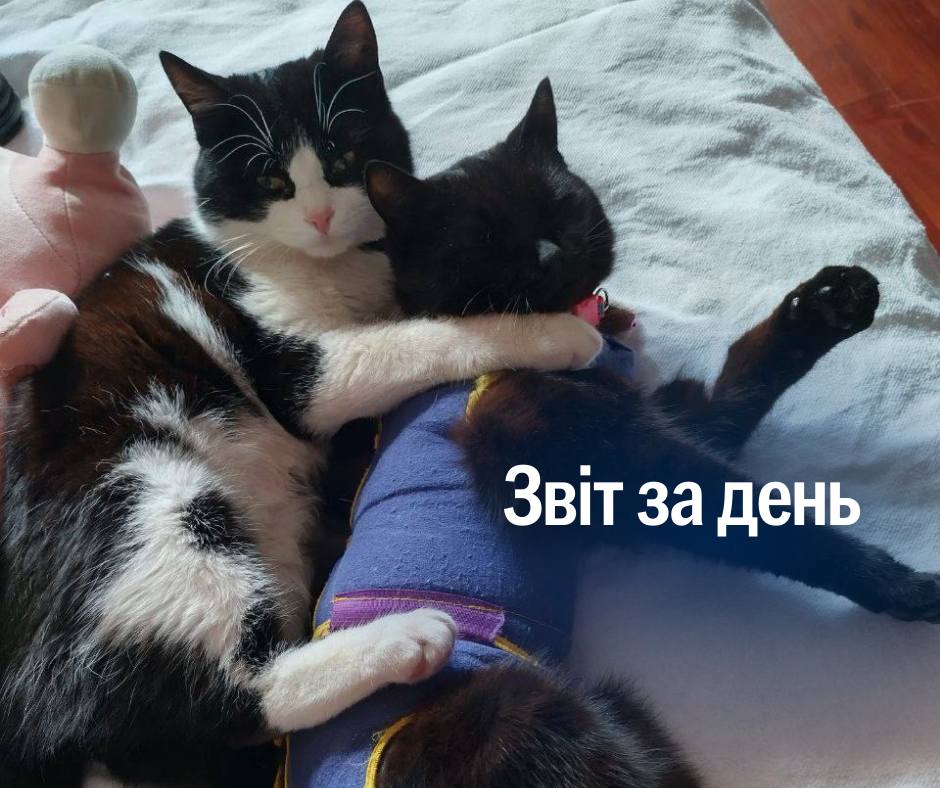📌 1 110 день повномасштабного вторгнення