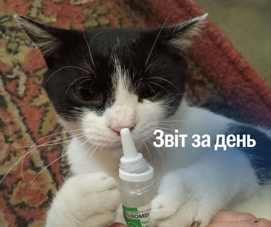 📌 1 112 день повномасштабного вторгнення