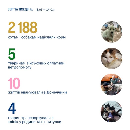 Захист слабких — справа сильних!