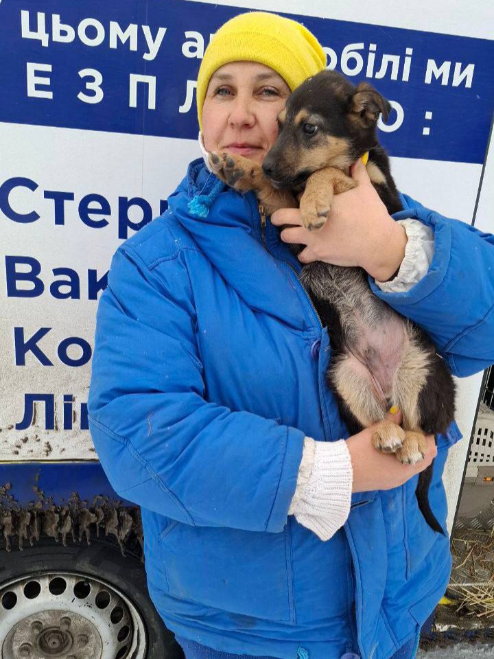Цей цуцик міг померти на вулиці в Донецькій області…