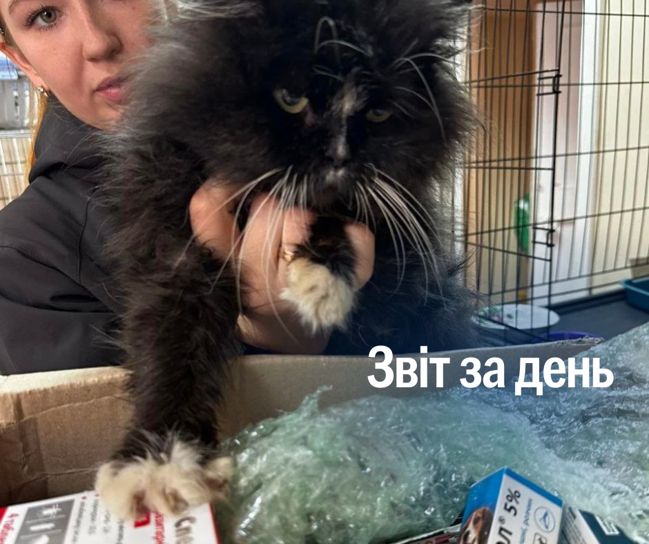 📌 1 117 день повномасштабного вторгнення