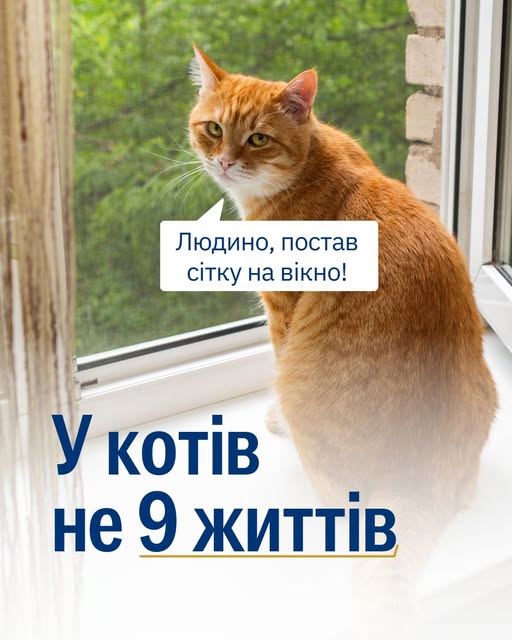 Надворі похолодало, щоби у вас…