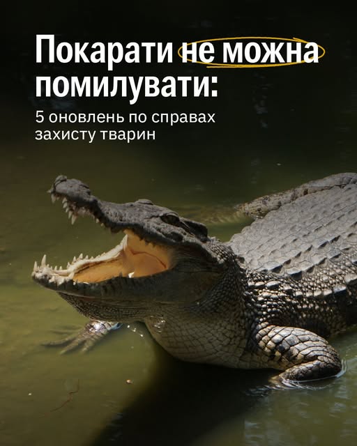 Ділимося новинами по юридичних кейсах захисту тварин 👇
