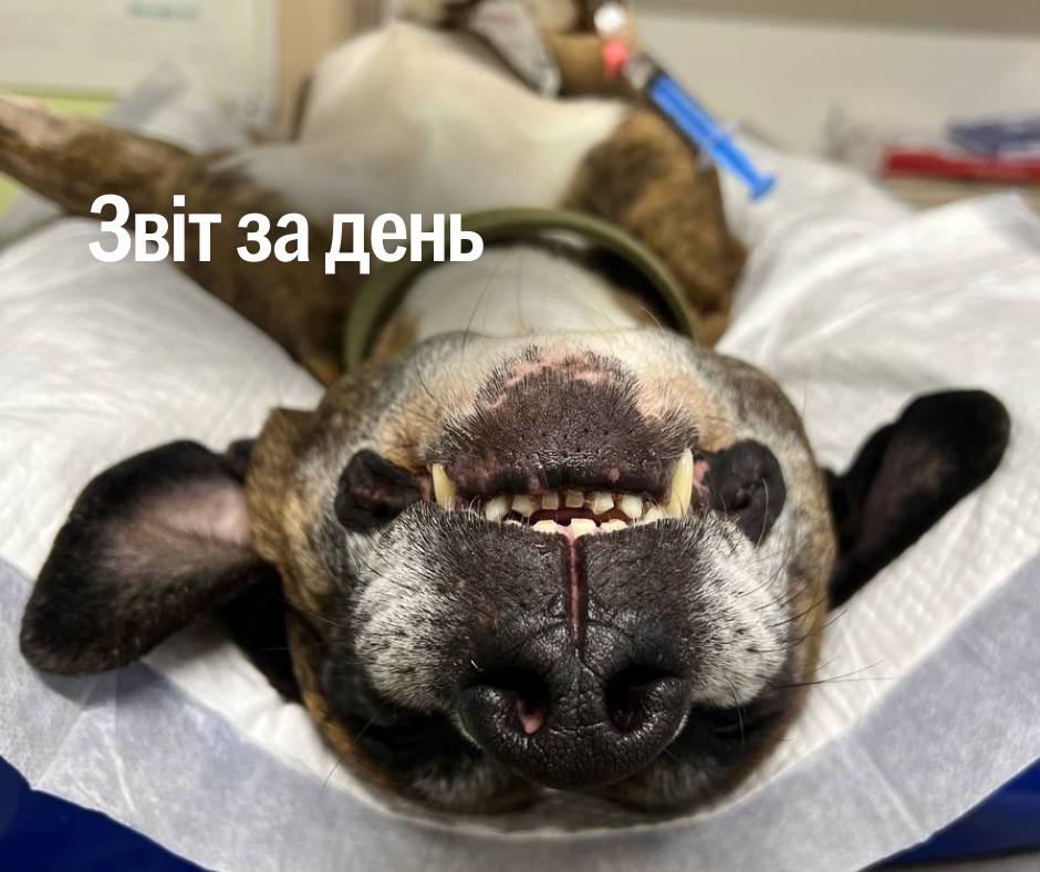 📌 1 115 день повномасштабного вторгнення