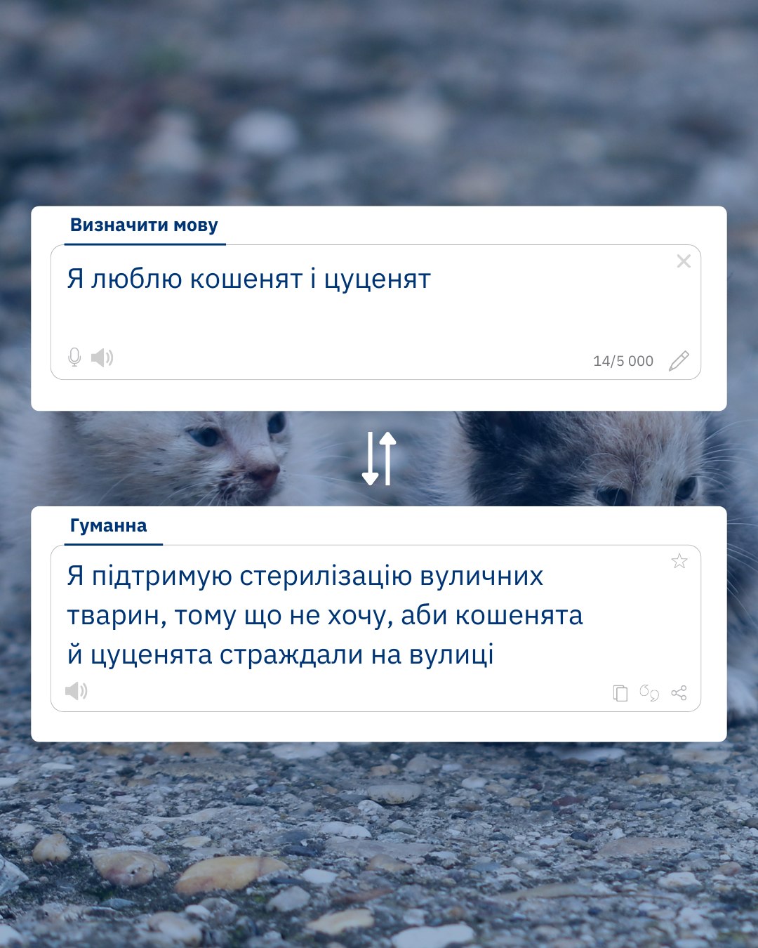 Любов — це турбота, правда?