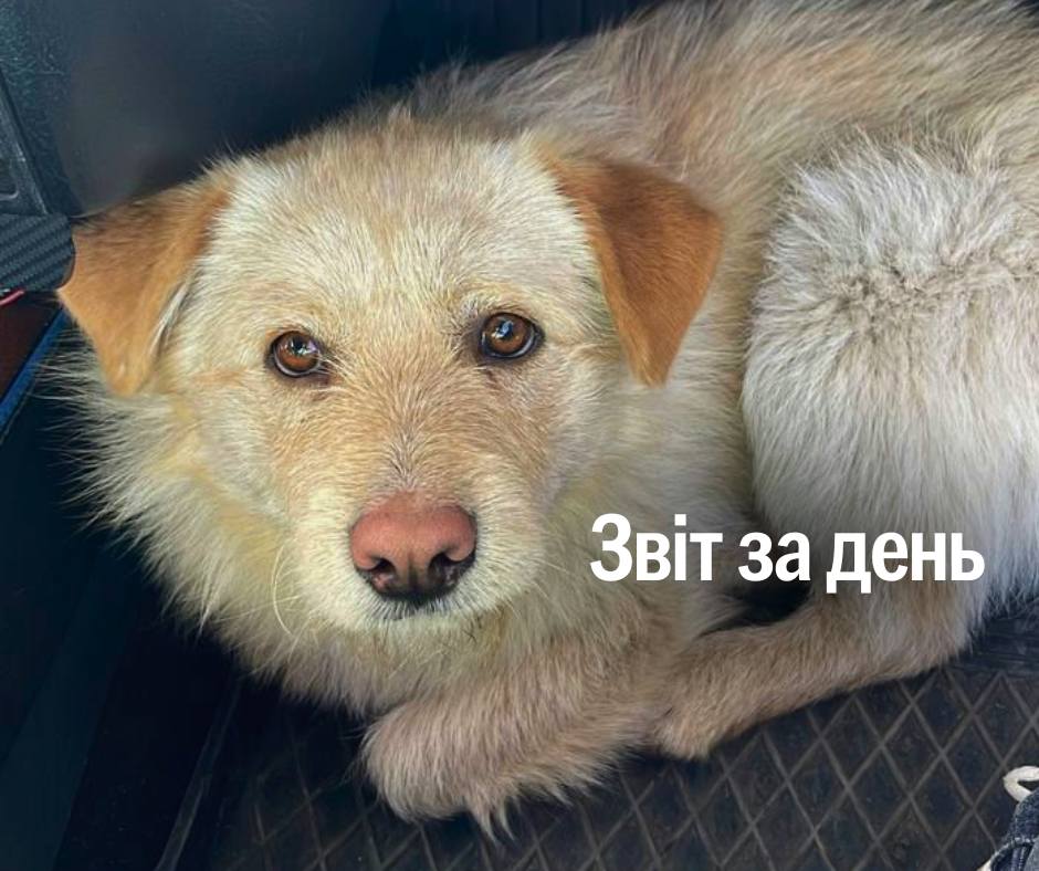 📌 1 116 день повномасштабного вторгнення