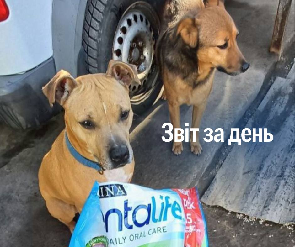 📌 1 119 день повномасштабного вторгнення