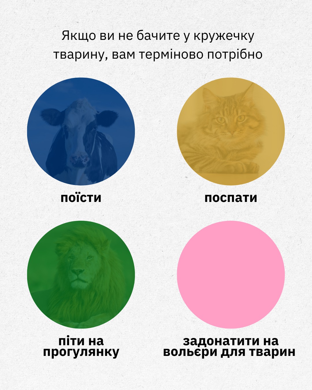 Зупиніться, бо це важливий тест ❗️