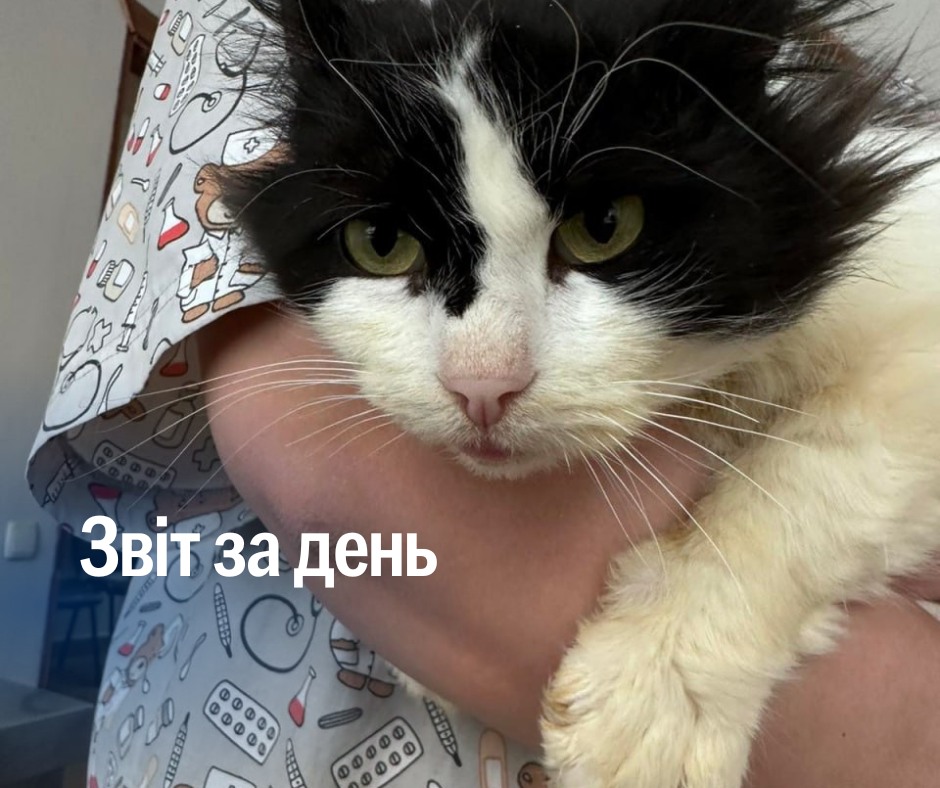 📌 1 121 день повномасштабного вторгнення