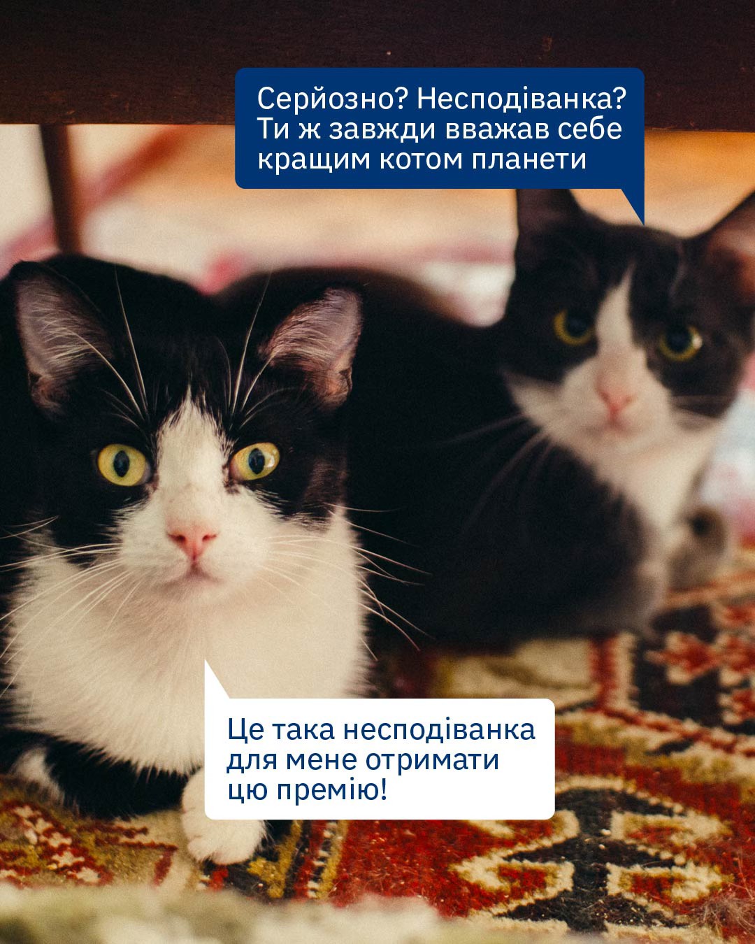 Певно, кожна людина раз в житті складала собі промову на вручення премії, як Фібі з серіалу «Друзі» 🤭 🏆