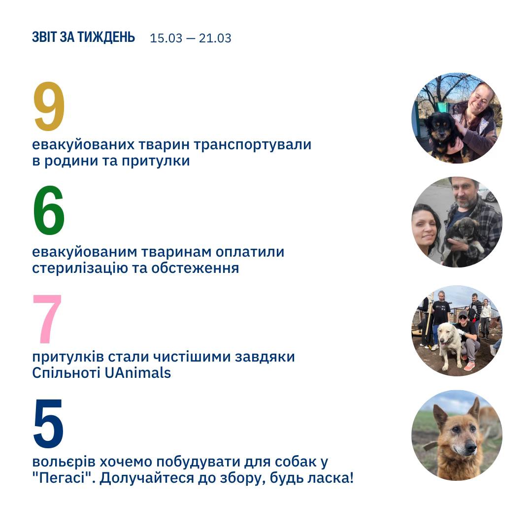 Наша спільна суперсила — не припиняти турбуватися про слабших🐾