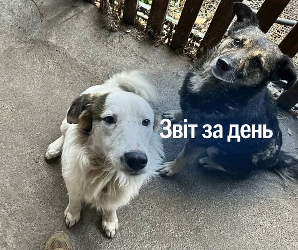 1 123 день повномасштабного вторгнення