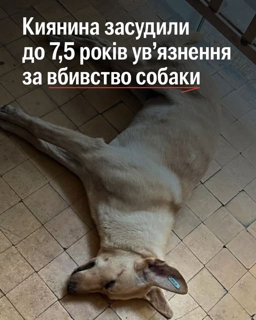 За вбивство собаки Мілки кривднику присудили понад 7 років за ґратами