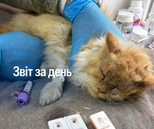 📌 1 124 день повномасштабного вторгнення.