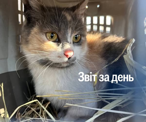 📌 1 125 день повномасштабного вторгнення.