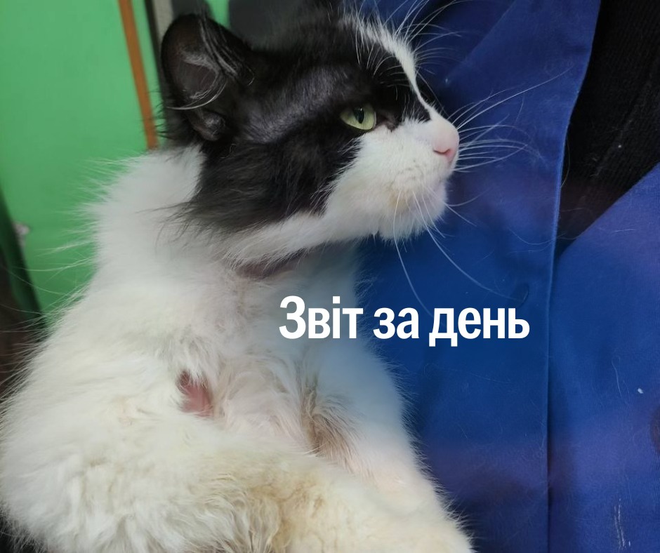 📌1 146 день повномасштабного вторгнення