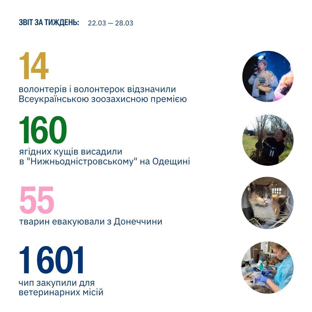 Робити добро й допомагати не завжди легко…