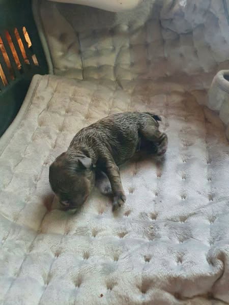 Кожне крихке життя — цінне! 🥺