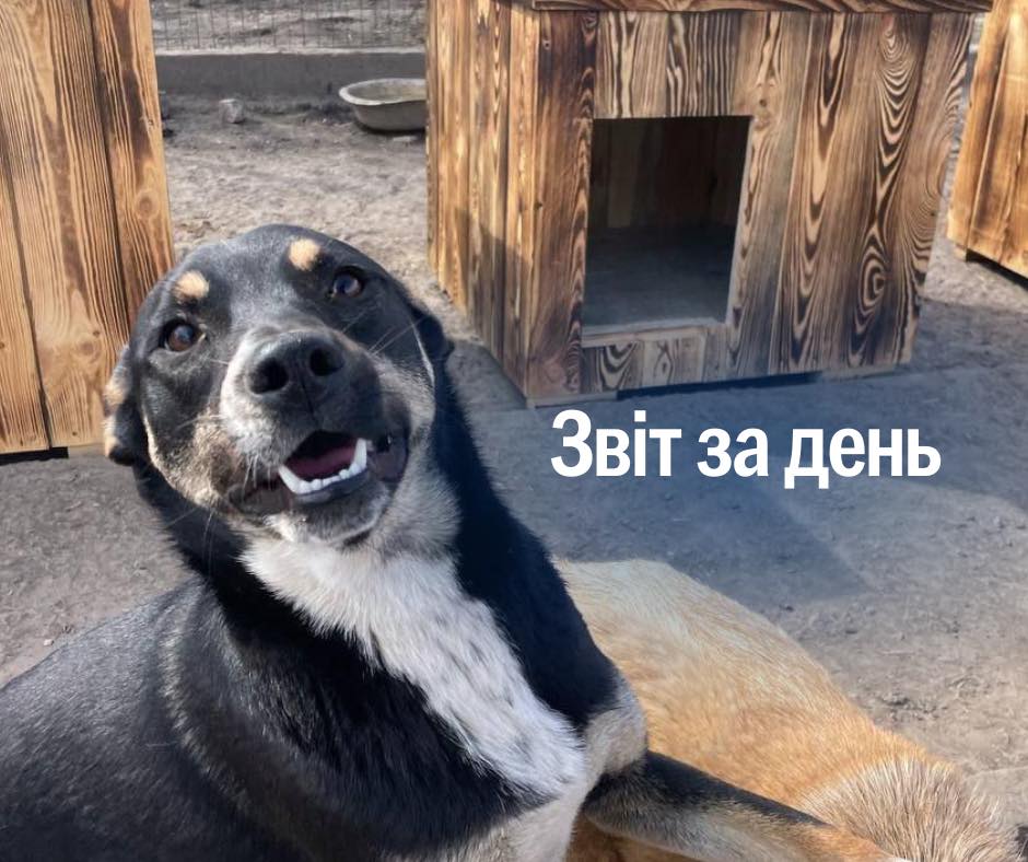 📌 1131 день повномасштабного вторгнення..