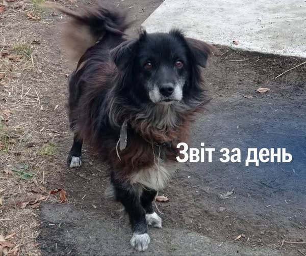 📌 1 148 день повномасштабного вторгнення