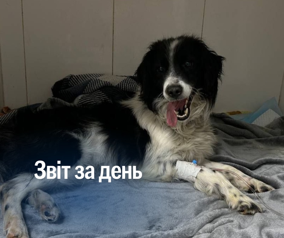📌 1 132 день повномасштабного вторгнення
