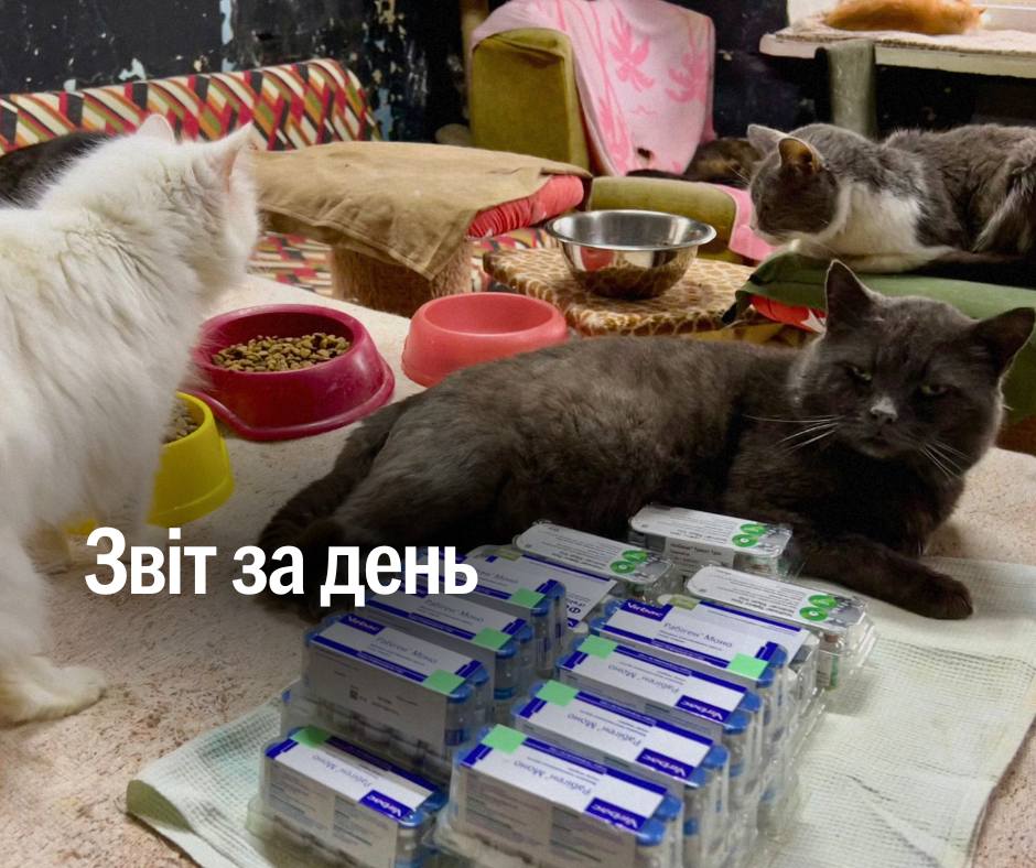 📌 1 134 день повномасштабного вторгнення