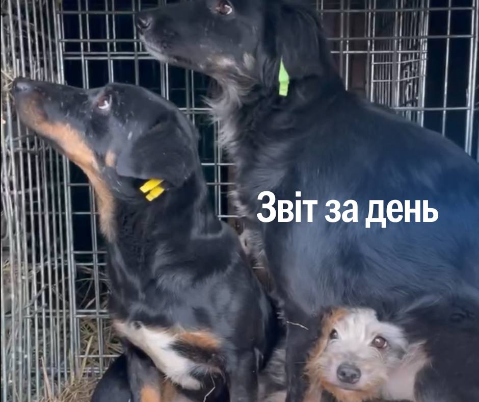 📌1137 день повномасштабного вторгнення