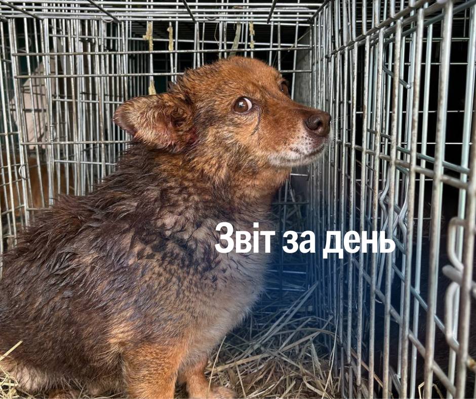 📌1139 день повномасштабного вторгнення