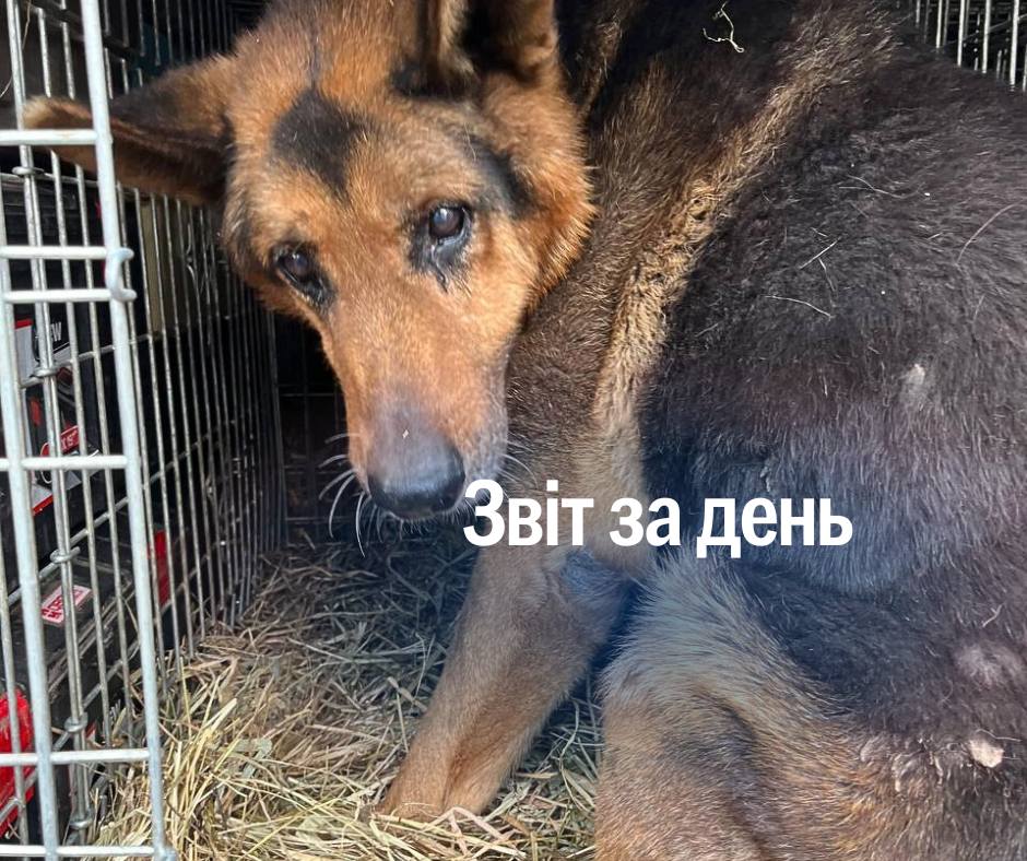 📌1 140 день повномасштабного вторгнення