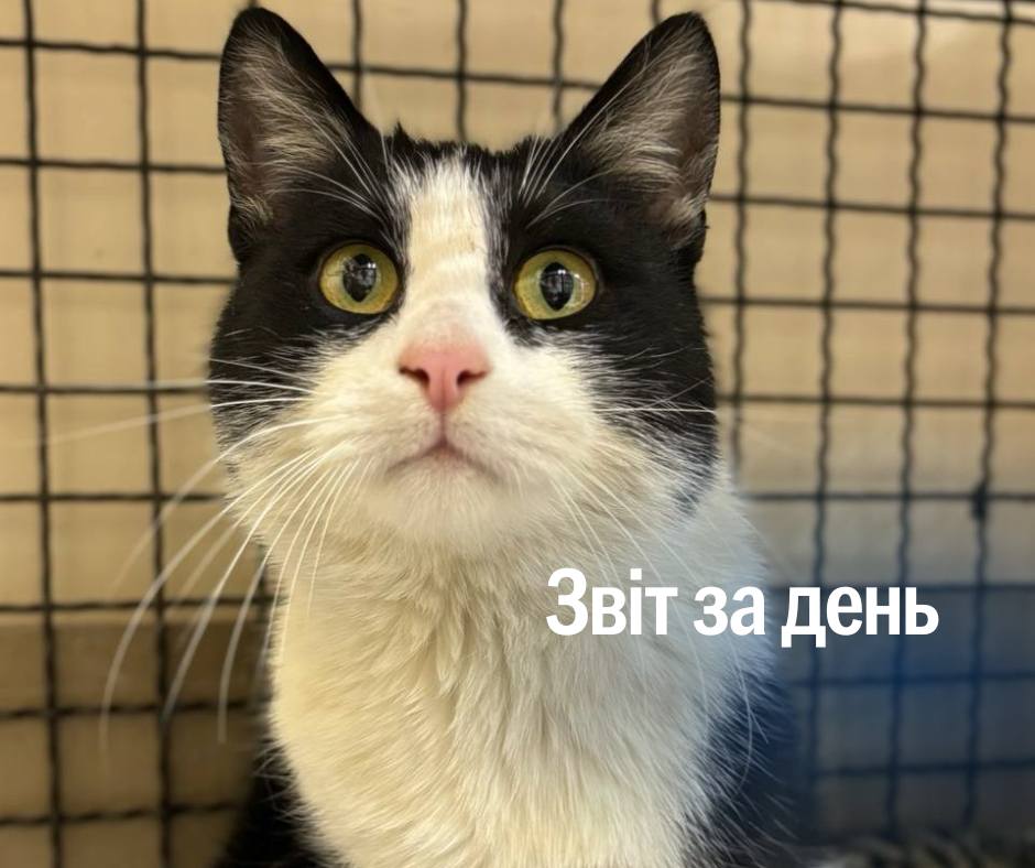 📌1 141 день повномасштабного вторгнення