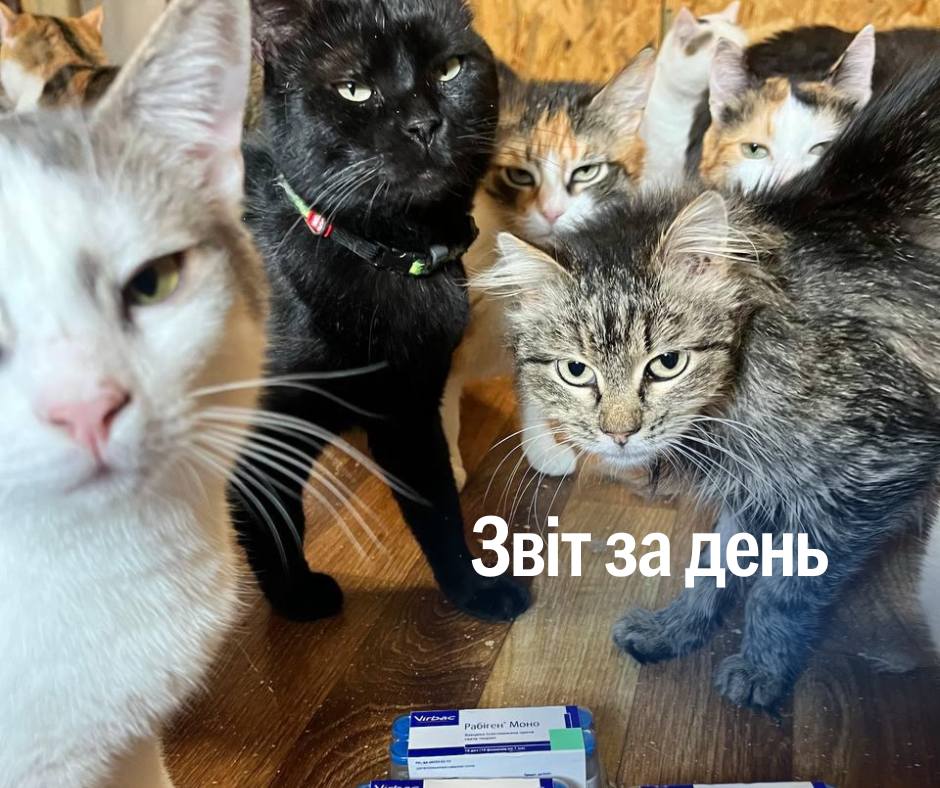 📌 1 150 день повномасштабного вторгнення