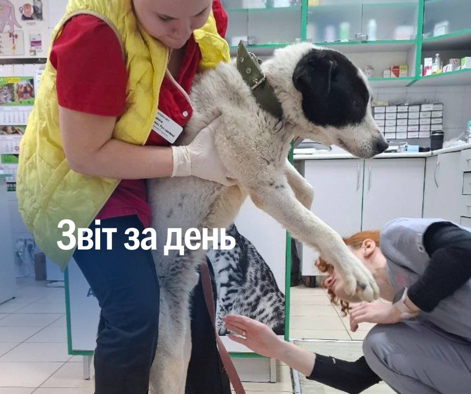 📌1 142 день повномасштабного вторгнення