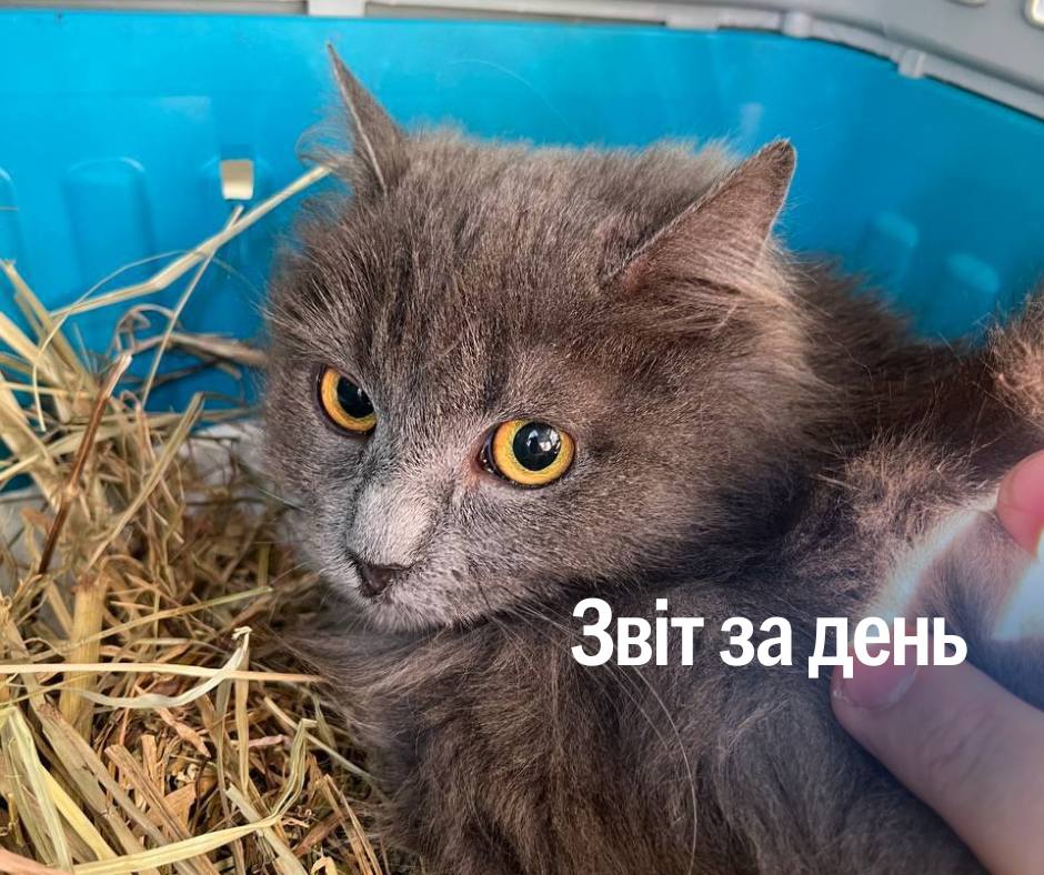 📌 1 153 день повномасштабного вторгнення